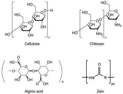 Translating controlled release systems from biomedicine to agriculture